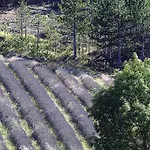 Bed & Breakfast Le Vin De L'ete Ponet-et-Saint-Auban