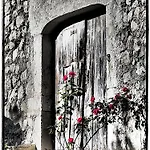 Le Vin De L'ete Bed & Breakfast Ponet-et-Saint-Auban