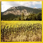 Le Vin De L'ete Bed & Breakfast