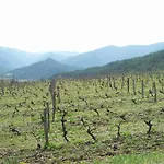 Le Vin De L'ete Nocleg ze śniadaniem 3*