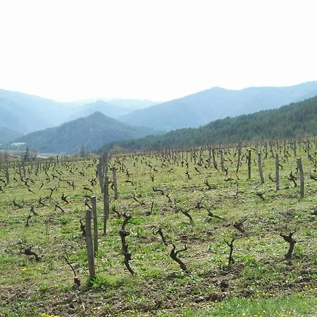 Le Vin De L'ete Bed & Breakfast *