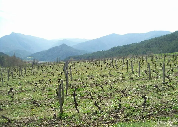 Le Vin De L'ete Bed & Breakfast 3*